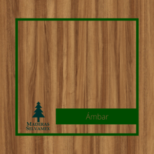 Ámbar