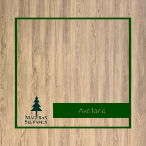 Avellana
