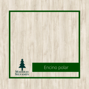 Encino polar