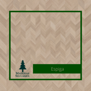 Espiga