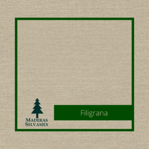 Filigrana