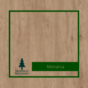 Monarca