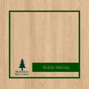 Roble Mérida