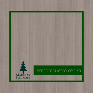 Precompuesto ceniza