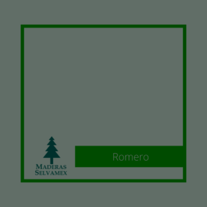 Romero