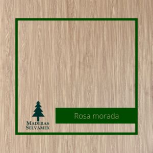 Rosa morada