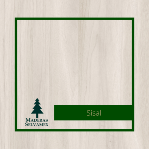 Sisal