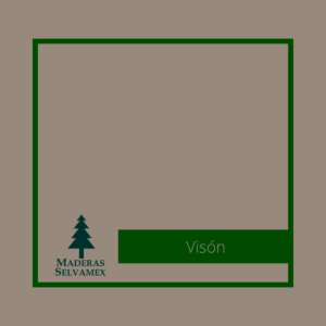 Visón